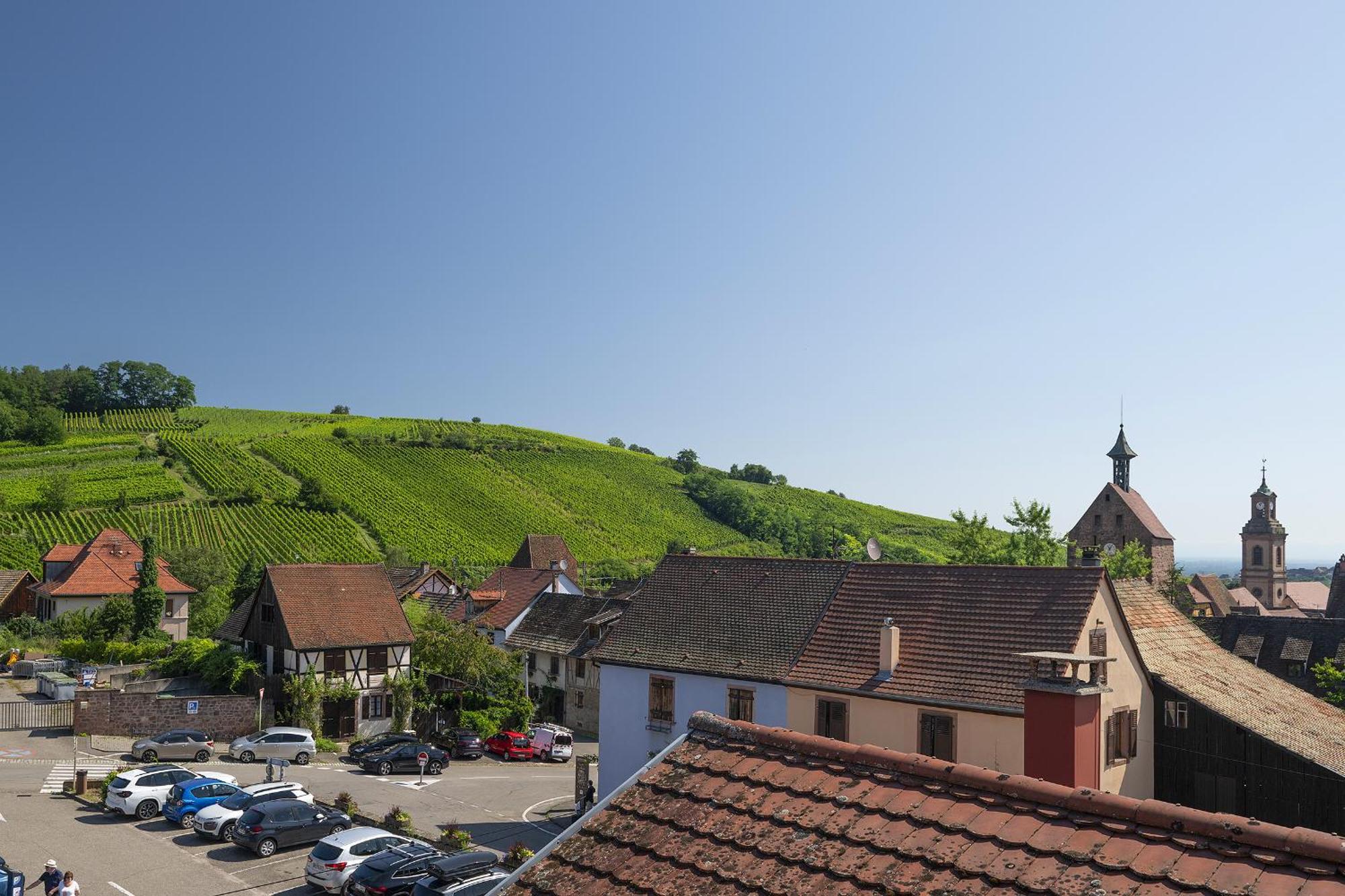 Riesling - Vue Imprenable Sur Le Vignoble - Renove Recemment - Parking Gratuit Apartment Riquewihr Exterior photo