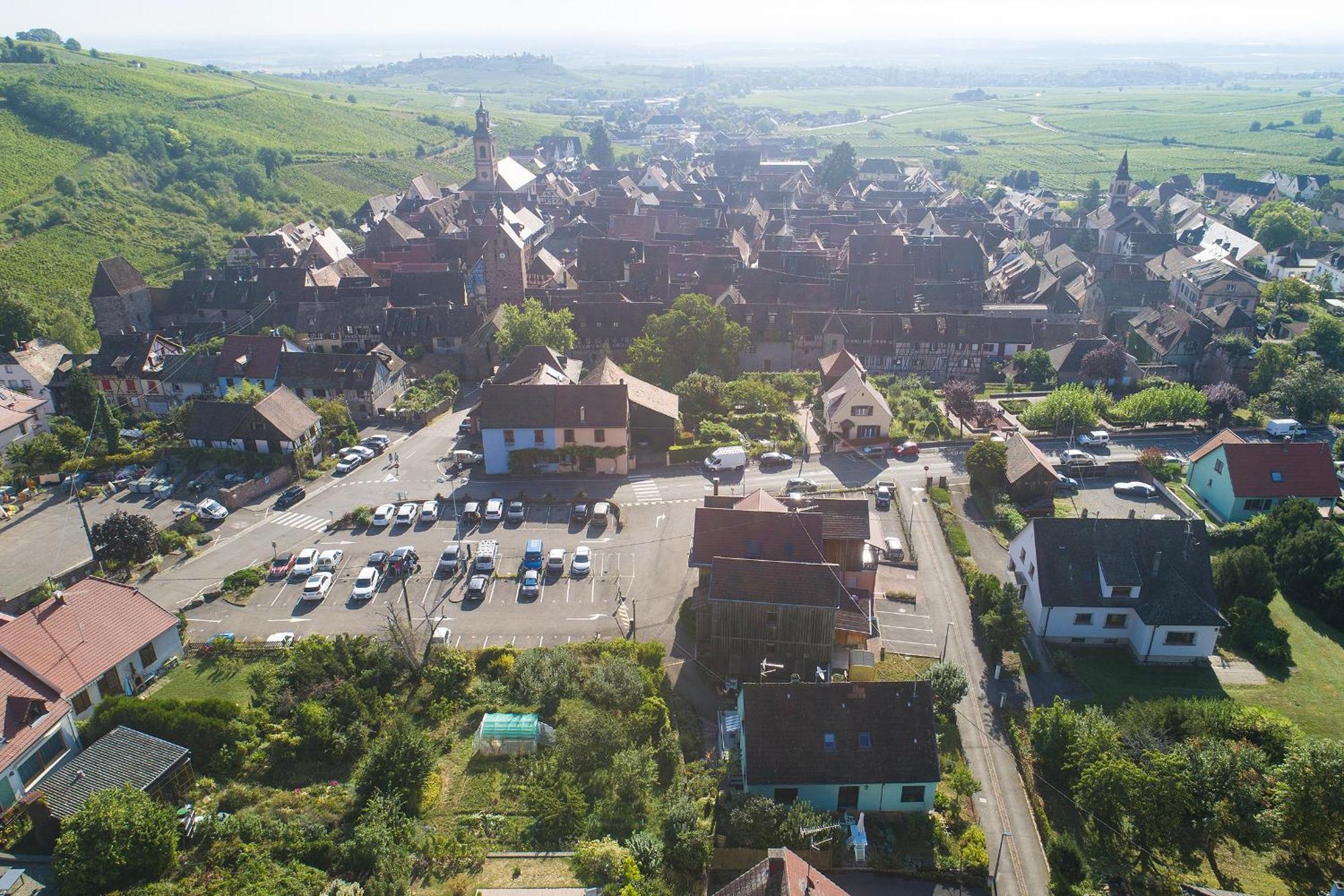Riesling - Vue Imprenable Sur Le Vignoble - Renove Recemment - Parking Gratuit Apartment Riquewihr Exterior photo